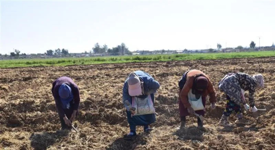  کرێکارە ئافرەتەکان نیگەرانن لەمامەڵەی خاوەن کارەکان  